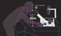 TS100-TS100-F尼康倒置显微镜-上海思长约光学经销