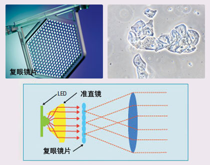 TS100-TS100-F尼康倒置显微镜-上海思长约光学经销