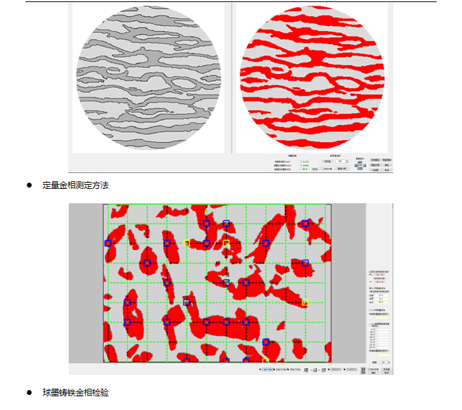 金相分析软件-金相组织分析软件-金相显微镜分析软件