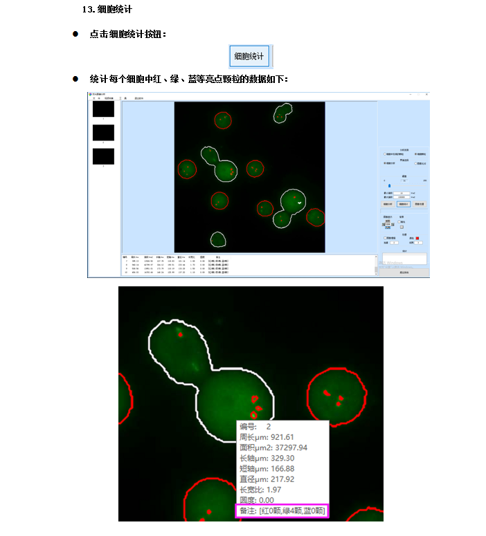 荧光分析软件-上海思长约光学仪器