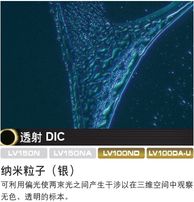 尼康正置金相显微镜LV100ND