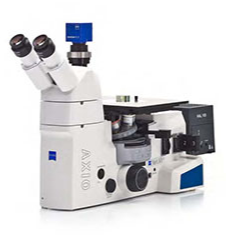Axio Vert.A1显微镜